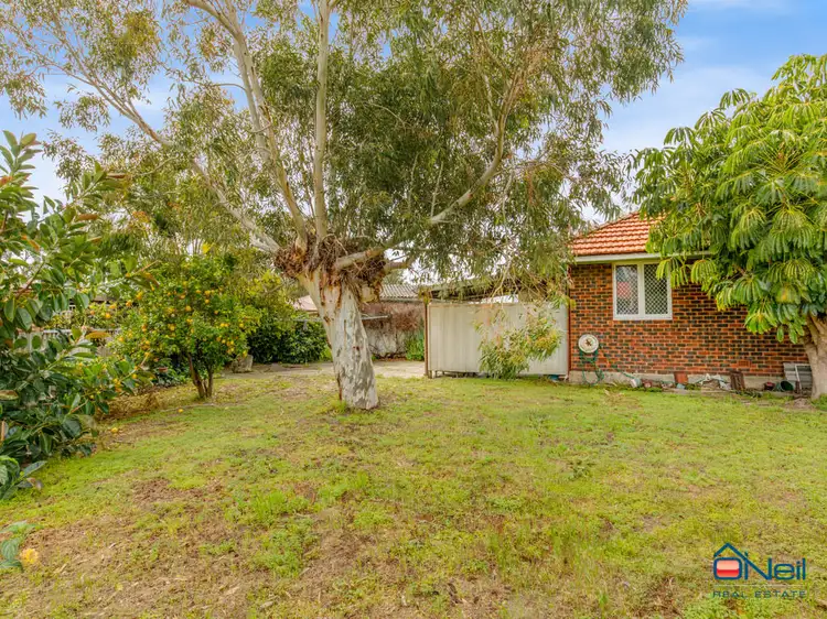 Fifth view of Homely house listing, 1 Medhurst Cres, Nollamara WA 6061