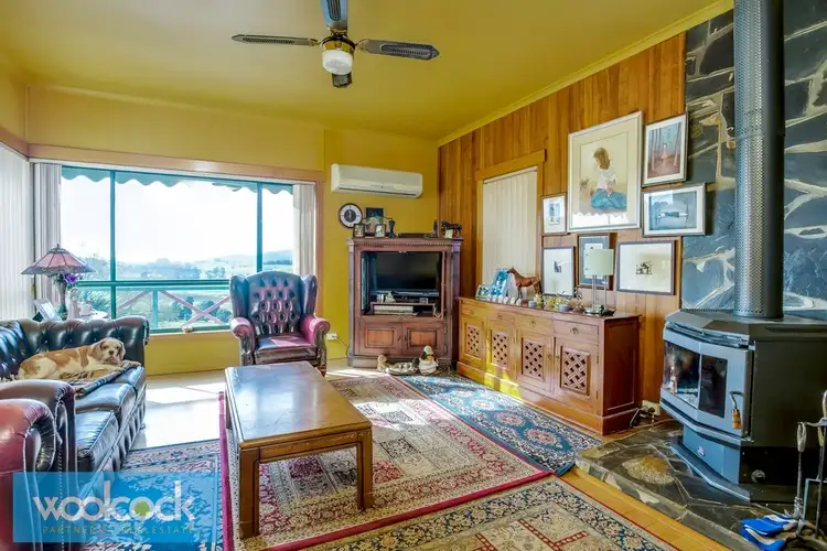 Fifth view of Homely house listing, 12 Ringarooma Road, Scottsdale TAS 7260