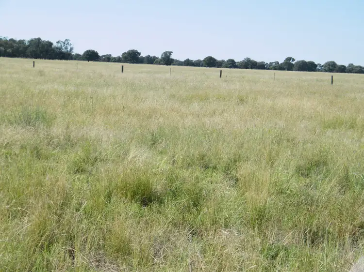 Sixth view of Homely rural property listing, "Sutton Grange", Meandarra QLD 4422