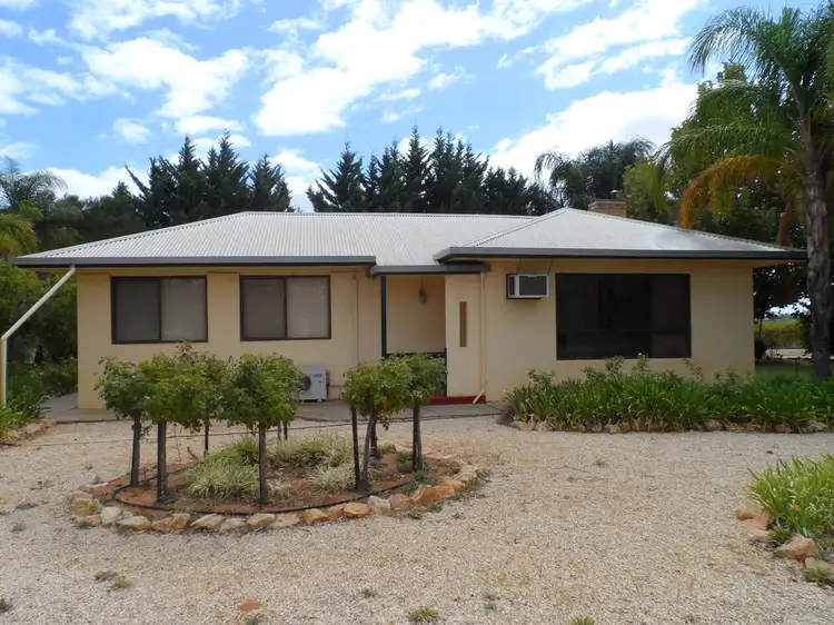 107 Gordon Road, Loxton SA 5333