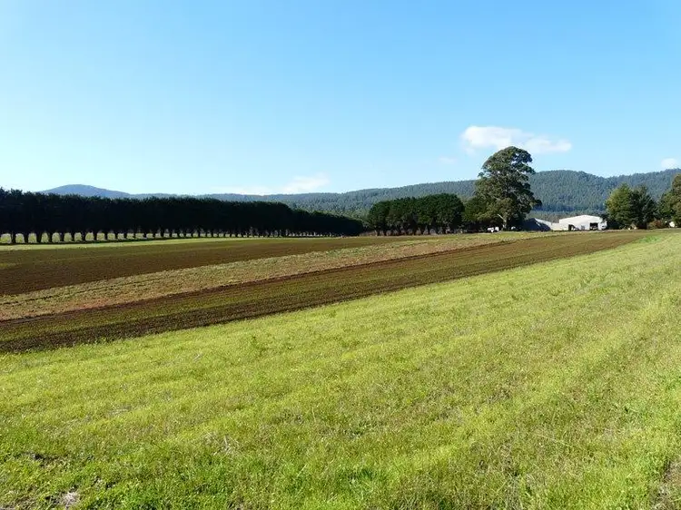 Fourth view of Homely rural property listing, Address available on request