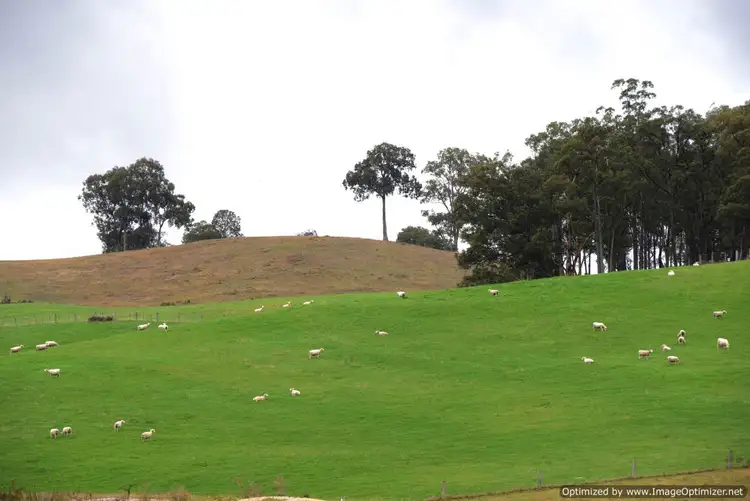 Third view of Homely rural property listing, 560 Orrs Road, Clifton Creek VIC 3875