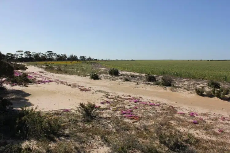 Second view of Homely rural property listing, Lot 16651 Korbrelkulling Road, Merredin WA 6415