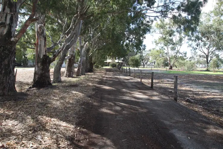 Main view of Homely house listing, 142 Mills Road, Coolup WA 6214
