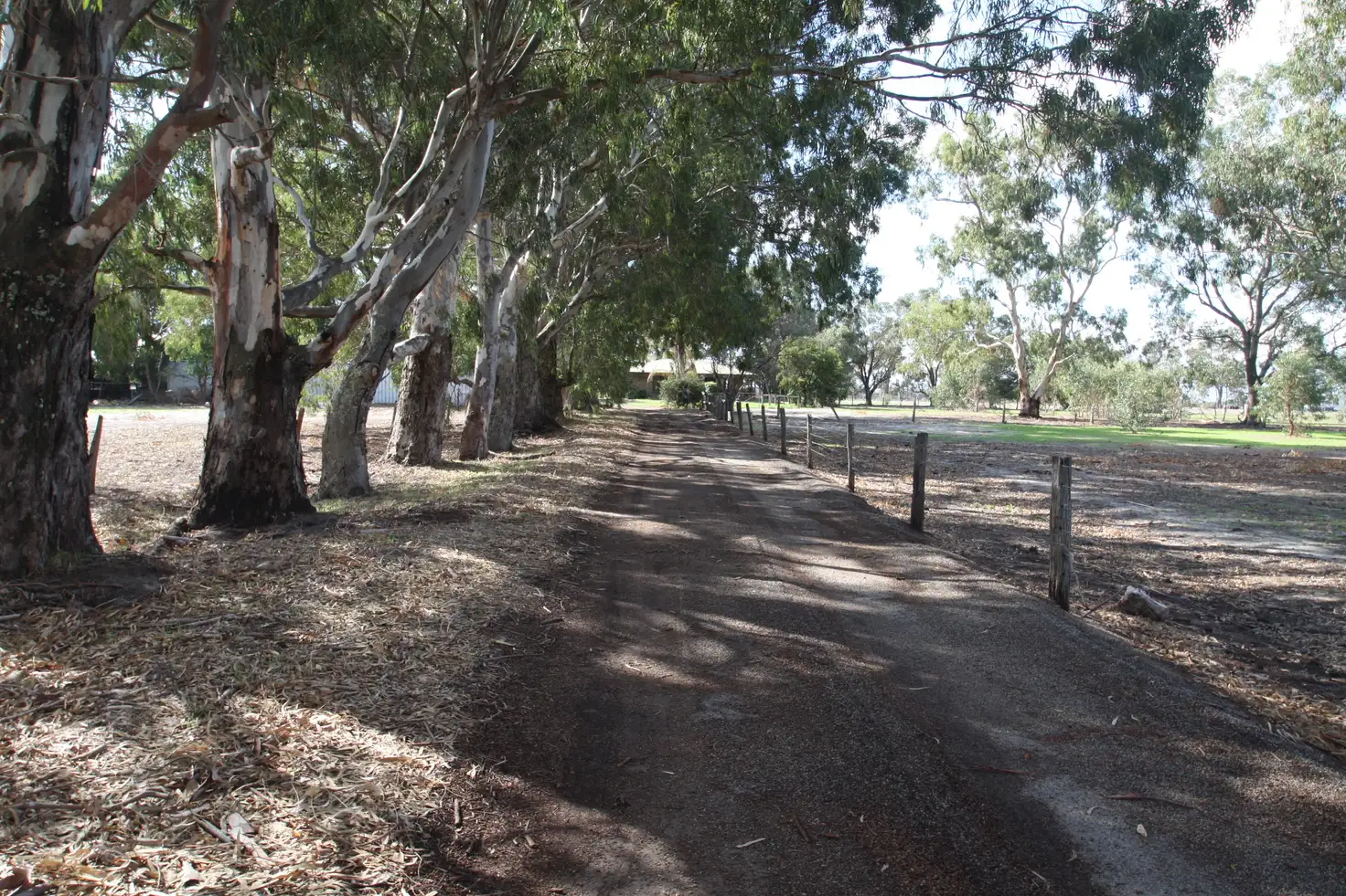 Main view of Homely house listing, 142 Mills Road, Coolup WA 6214