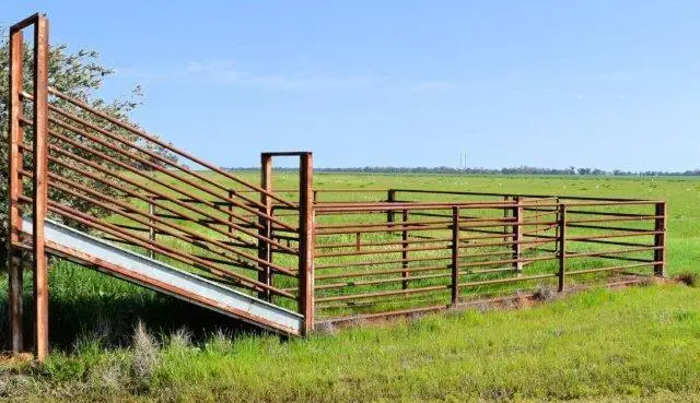 Fifth view of Homely rural property listing, 265 Southdown Road, Deniliquin NSW 2710