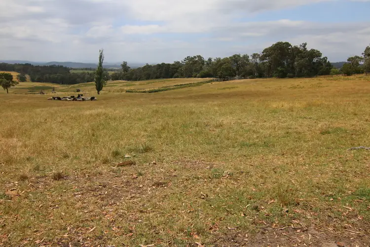 Third view of Homely rural property listing, Lot 1 / 515 Bullumwaal Road, Mount Taylor VIC 3875