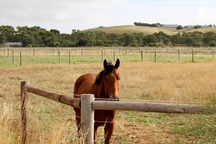 Third view of Homely rural property listing, A10 Lines Road, Strathalbyn SA 5255