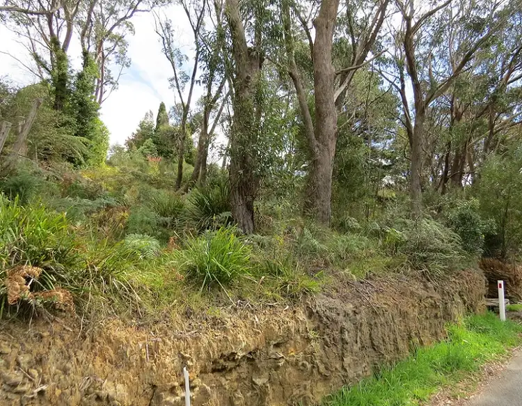 10 Mount Street (Lot 1 DP 177180), Leura NSW 2780