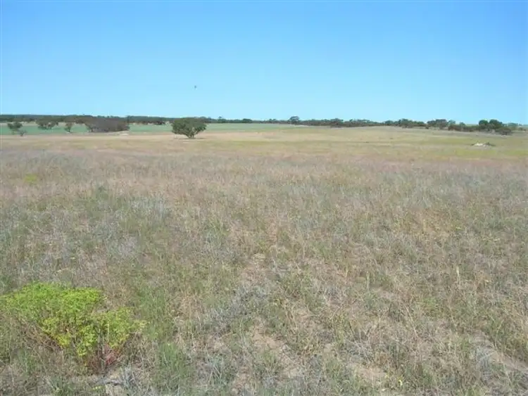 Sixth view of Homely rural property listing, Lot 131 Kepa Road, Murray Bridge SA 5253