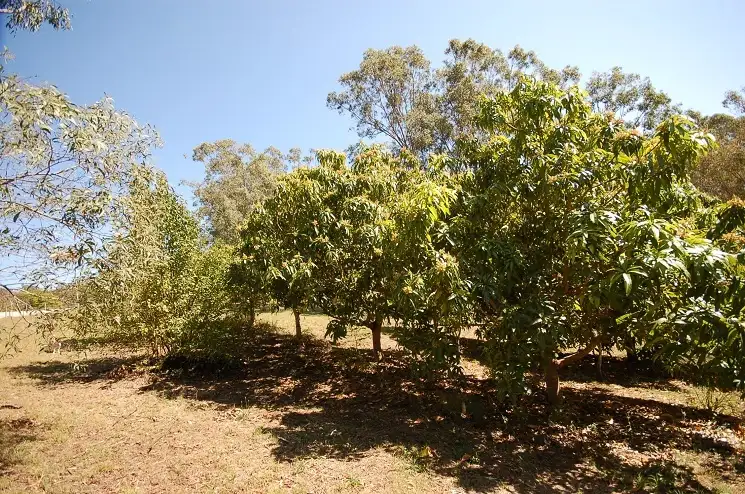 Fifth view of Homely land listing, 51 Candowie Crescent, Karana Downs QLD 4306