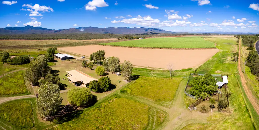 Main view of Homely rural property listing, 3595 Kennedy Highway, Mareeba QLD 4880