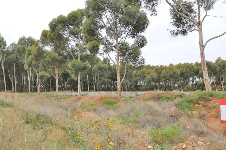 Third view of Homely rural property listing, 21 Vasey Road, Waikerie SA 5330