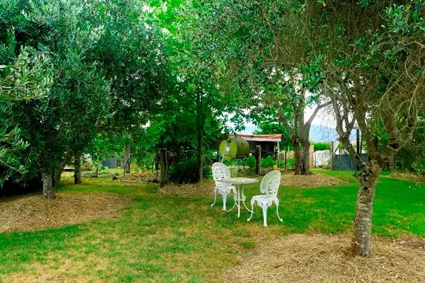 Fifth view of Homely rural property listing, 49 Maddens Lane, Wards River NSW 2422