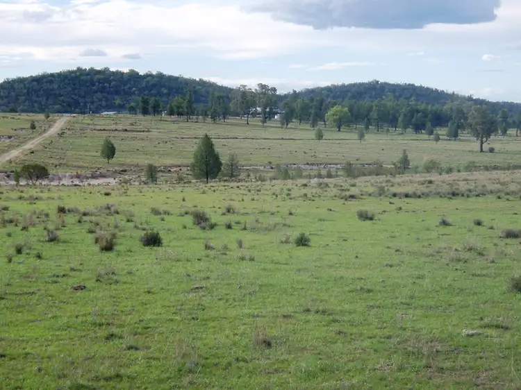 1095 Bedwell Downs, Wallangra NSW 2360