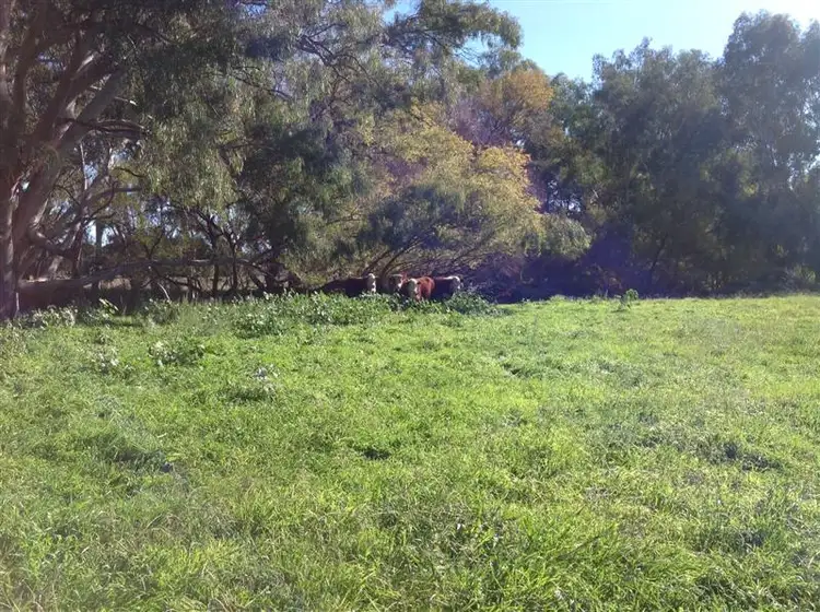 Second view of Homely rural property listing, 127 Little River Road, Tumut NSW 2720