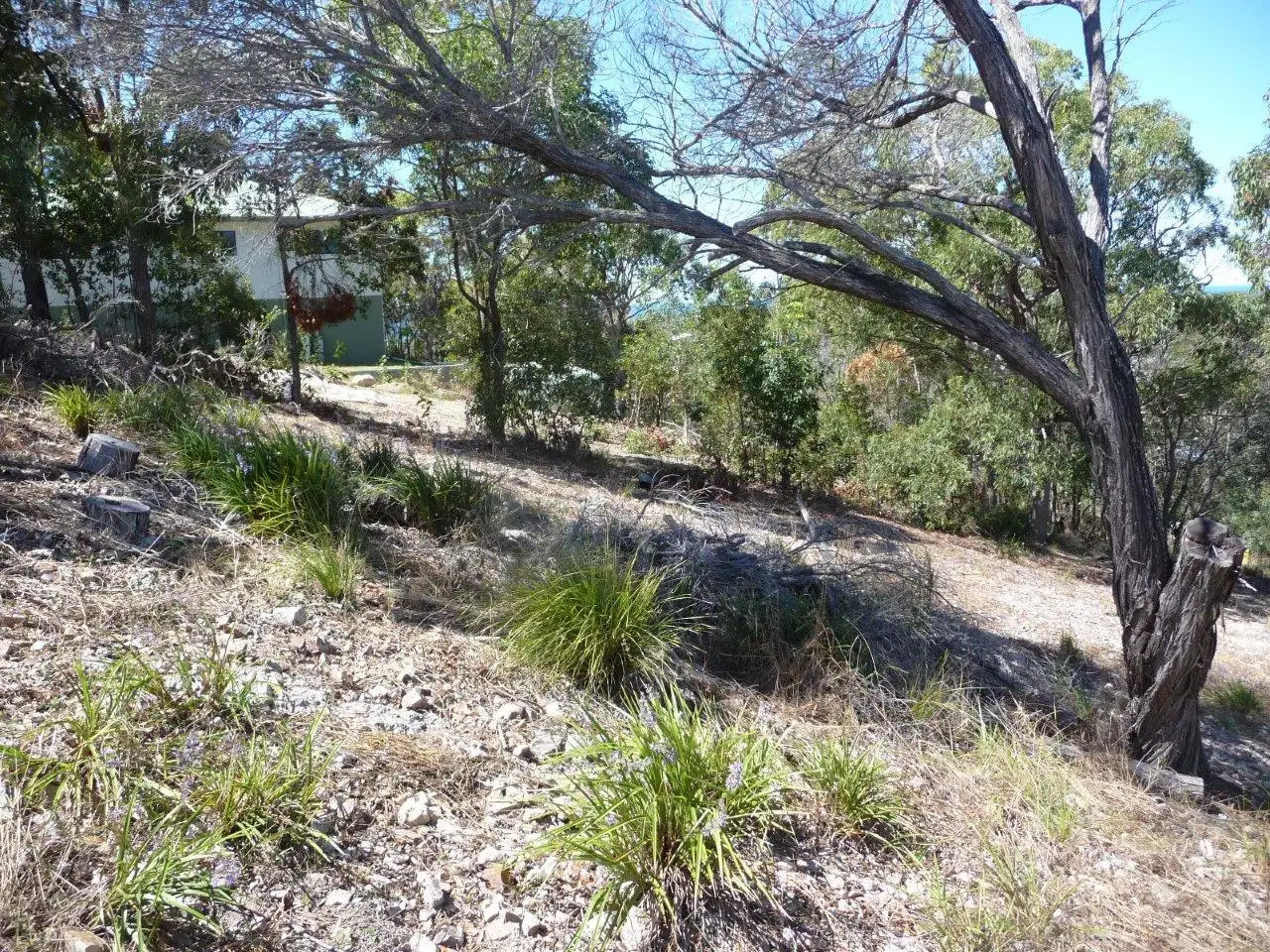 Main view of Homely land listing, 12 Shady Lane, Agnes Water QLD 4677