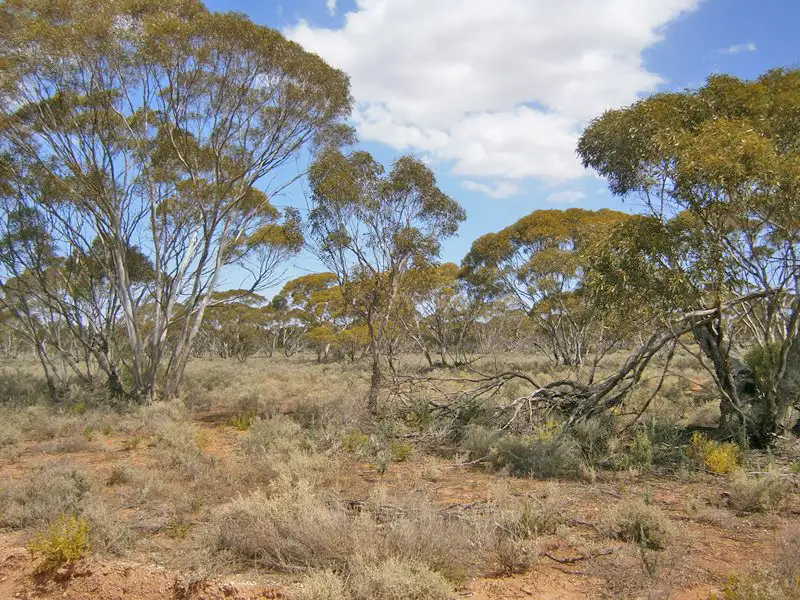 Main view of Homely rural property listing, 27 McKay Road, Blanchetown SA 5357