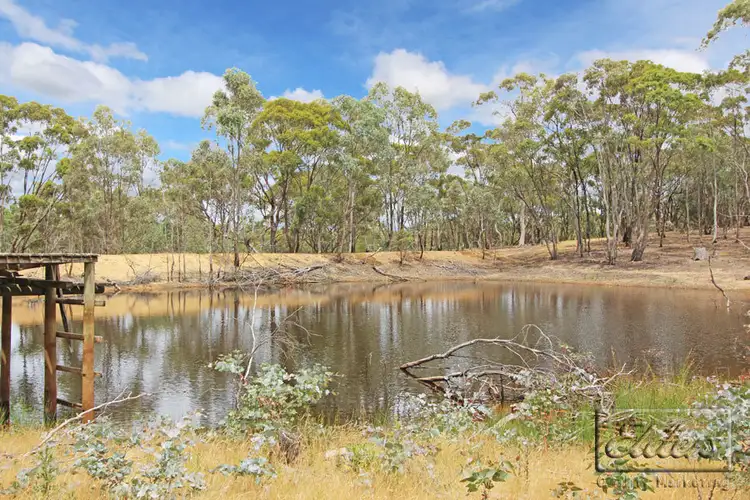 Sixth view of Homely rural property listing, 55 Acres Reyn Road, Sedgwick VIC 3551