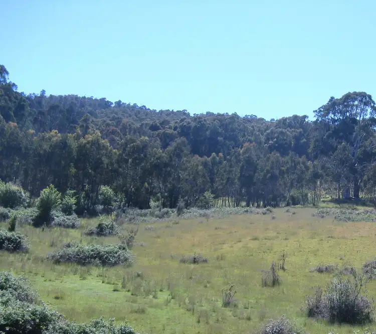 Seventh view of Homely rural property listing, 2920 Corryong Road, Benambra VIC 3900