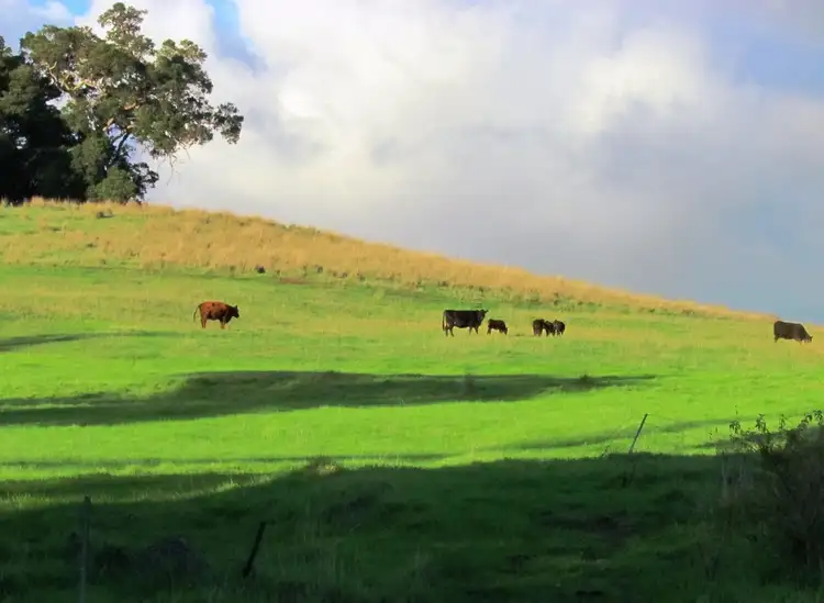 Fifth view of Homely rural property listing, Address available on request