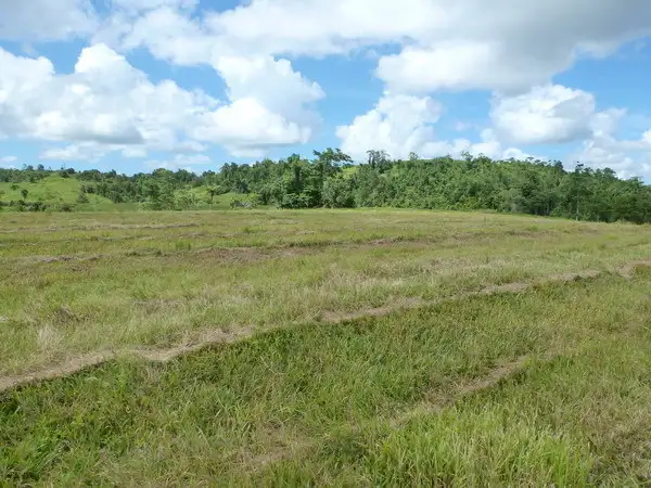 Fourth view of Homely rural property listing, Address available on request