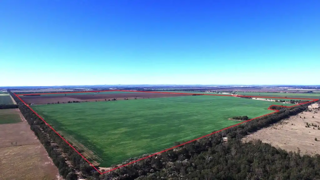 Main view of Homely rural property listing, 0 Campbells Road, Punchs Creek QLD 4357
