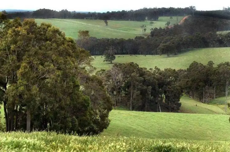Third view of Homely rural property listing, 1125 White Rd, Cundinup Via, Nannup WA 6275