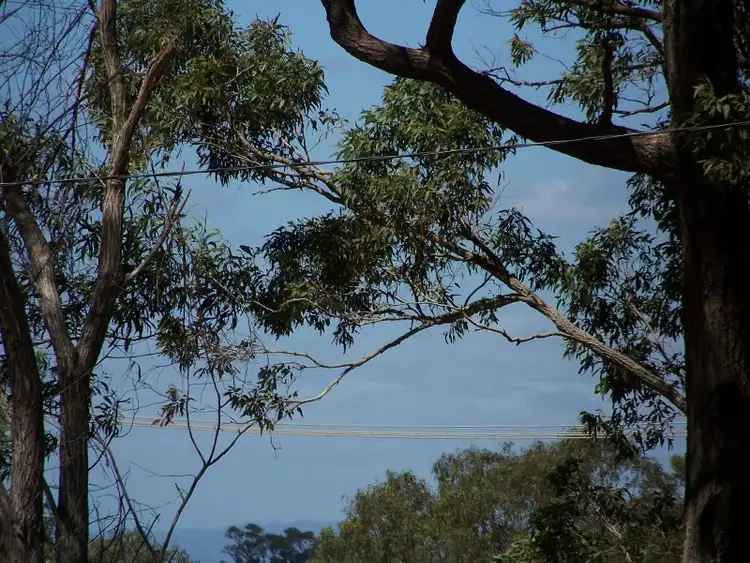 Fifth view of Homely land listing, 62-64 LUCAS dr, Lamb Island QLD 4184