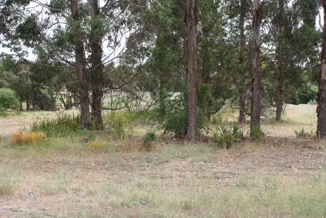 57 Somerville Street, Manjimup WA 6258