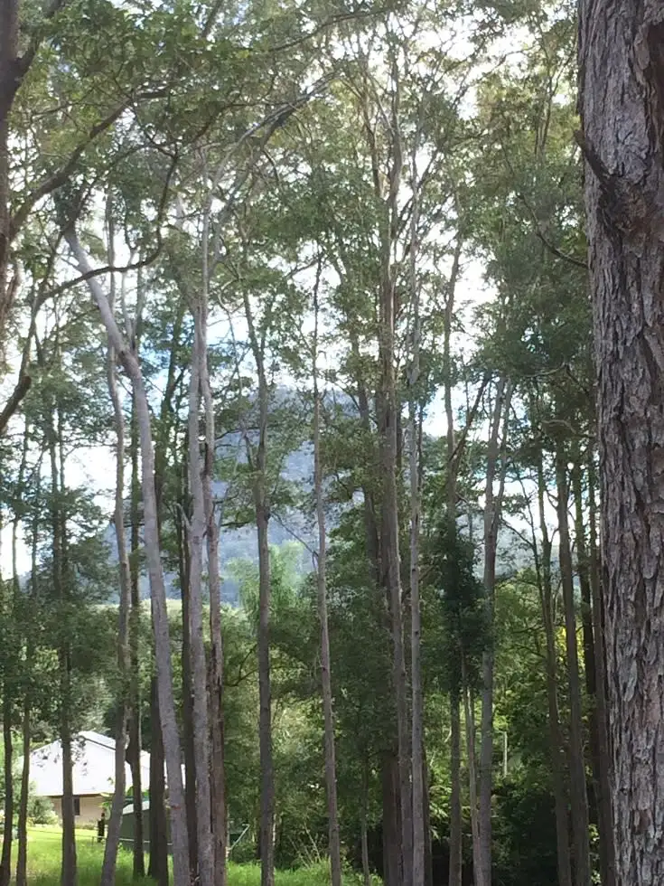 Sixth view of Homely land listing, Lot 9 / 34 Summit Road, Pomona QLD 4568
