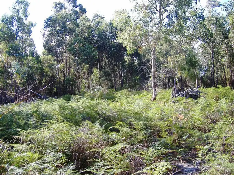 Fourth view of Homely land listing, 368 Memana Road, Whitemark, Flinders Island TAS 7255