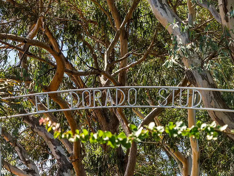 Fifth view of Homely rural property listing, 212 George Street, West Swan WA 6055