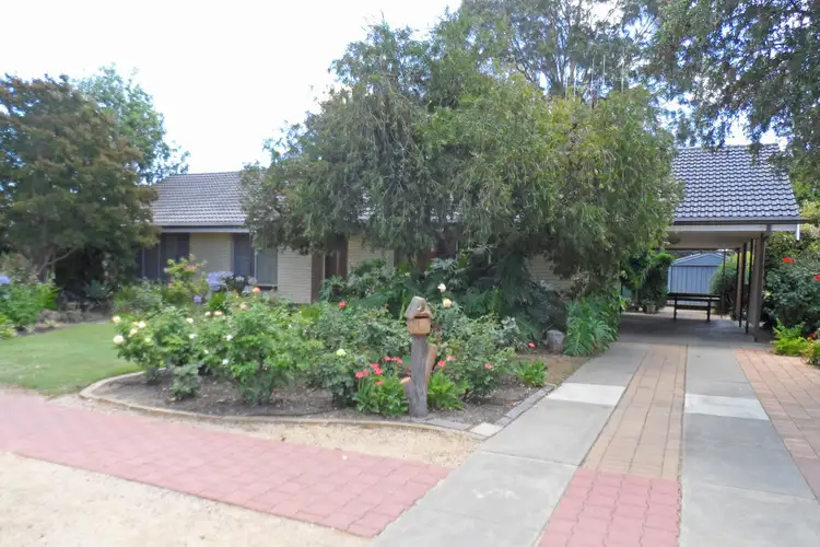 Main view of Homely house listing, 104 Pyap Street, Renmark SA 5341