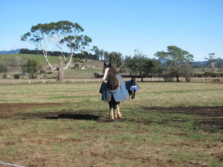 Third view of Homely land listing, Lot 2 Veterans Row, Westbury TAS 7303
