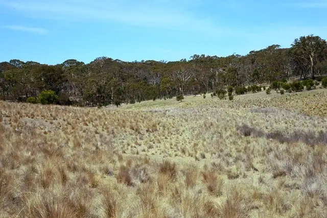 Third view of Homely rural property listing, She Oaks Park Maude/She Oaks Road, Maude VIC 3331