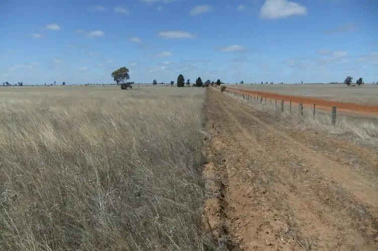 Fifth view of Homely rural property listing, "Trelawn" Wild Horse Tank Road, Merriwagga NSW 2652