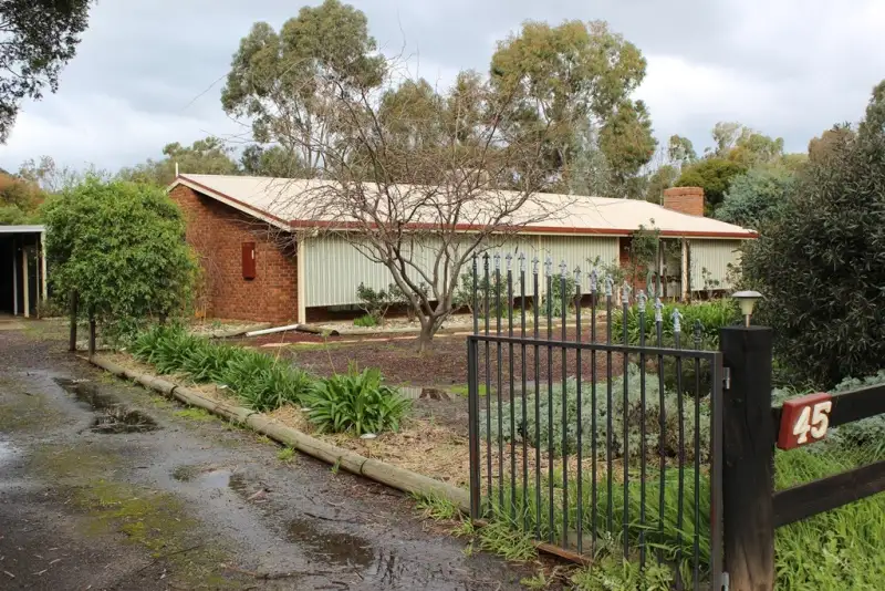 Main view of Homely house listing, 45 McDiarmids Road, Violet Town VIC 3669