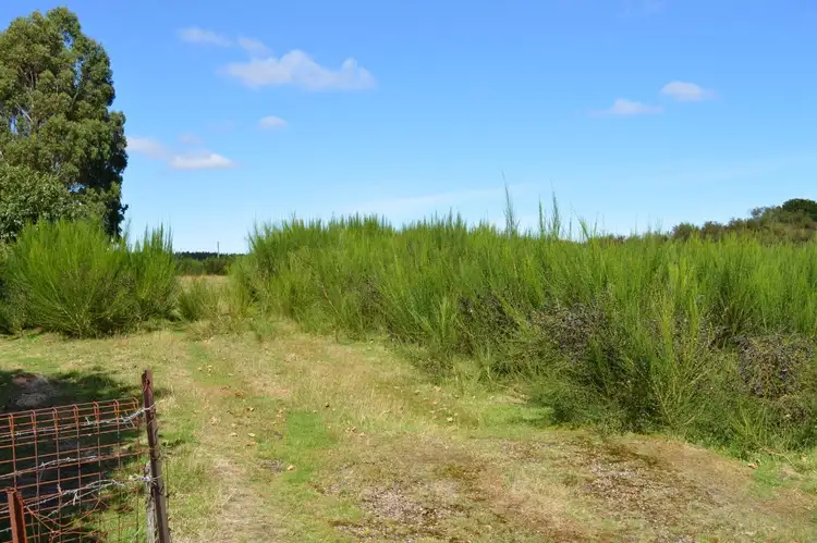 Sixth view of Homely land listing, 12 Sprent Street, Waratah TAS 7321