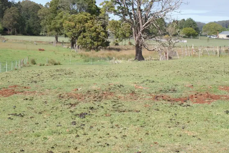 Fifth view of Homely land listing, . Corbetts Road, Riana TAS 7316
