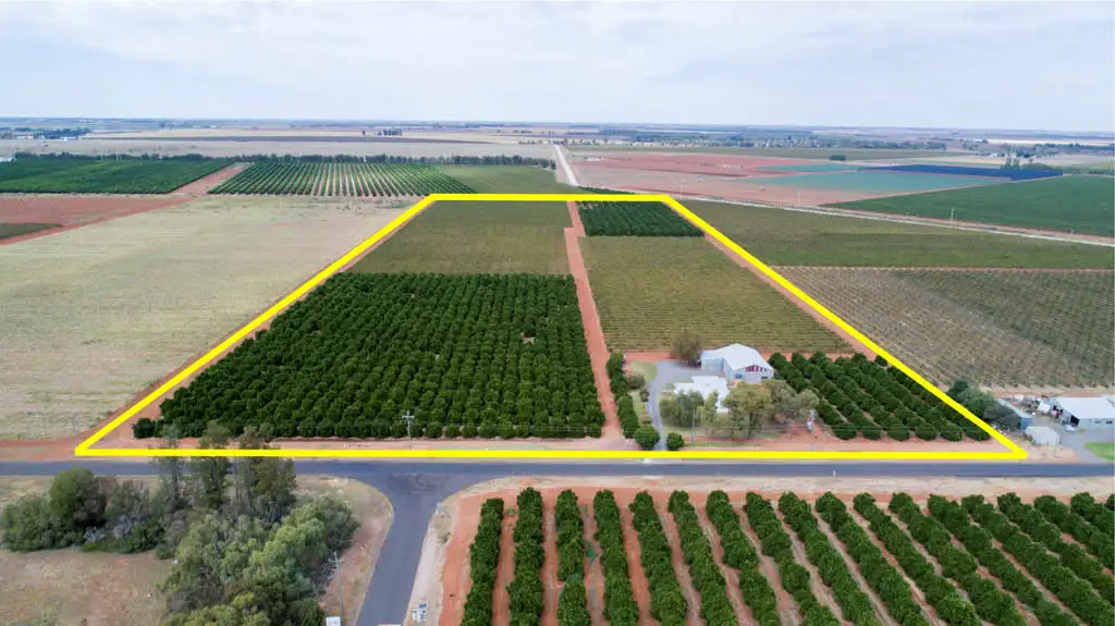 Main view of Homely house listing, 1716 White Road, Tharbogang NSW 2680