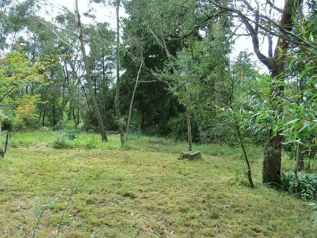 Main view of Homely land listing, 5 Showground Lane, Katoomba NSW 2780