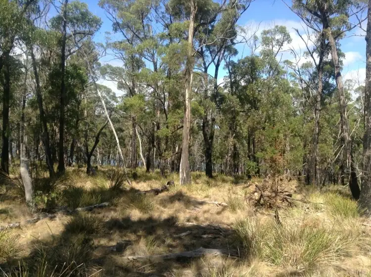 Sixth view of Homely land listing, 41 Pybus Rd, Apollo Bay TAS 7150