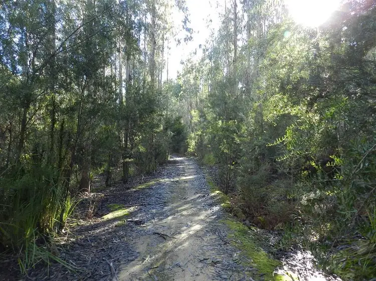 Main view of Homely rural property listing, 334 Upper Natone Road, Natone TAS 7321