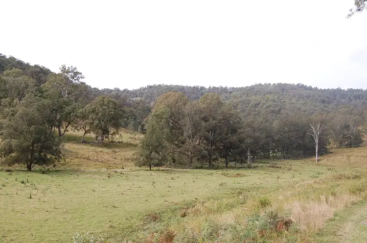 Fourth view of Homely rural property listing, 544 Duck Creek Road, Old Bonalbo NSW 2469