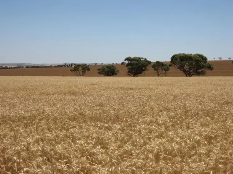 Fifth view of Homely rural property listing, - Haese and Bushby's Roads, Kulin WA 6365