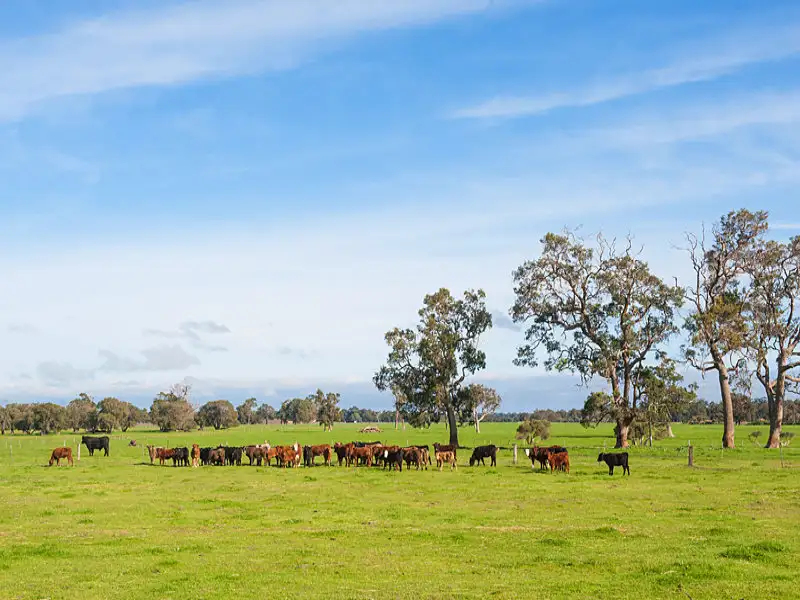 Main view of Homely rural property listing, Address available on request