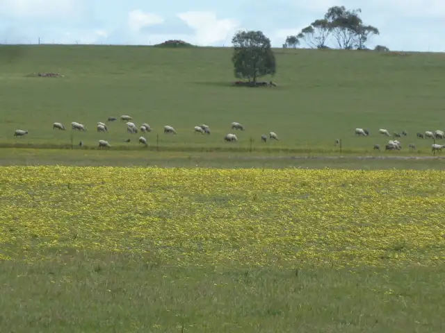 Seventh view of Homely rural property listing, 'Marley' 5267 Quairading - York Road, Mount Hardey WA 6302