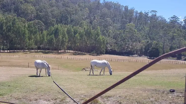 Third view of Homely rural property listing, 462 Plenty Valley Road, Glenfern TAS 7140