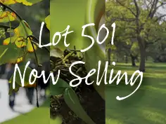 Lot 501 Everest Way, Baldivis WA 6171